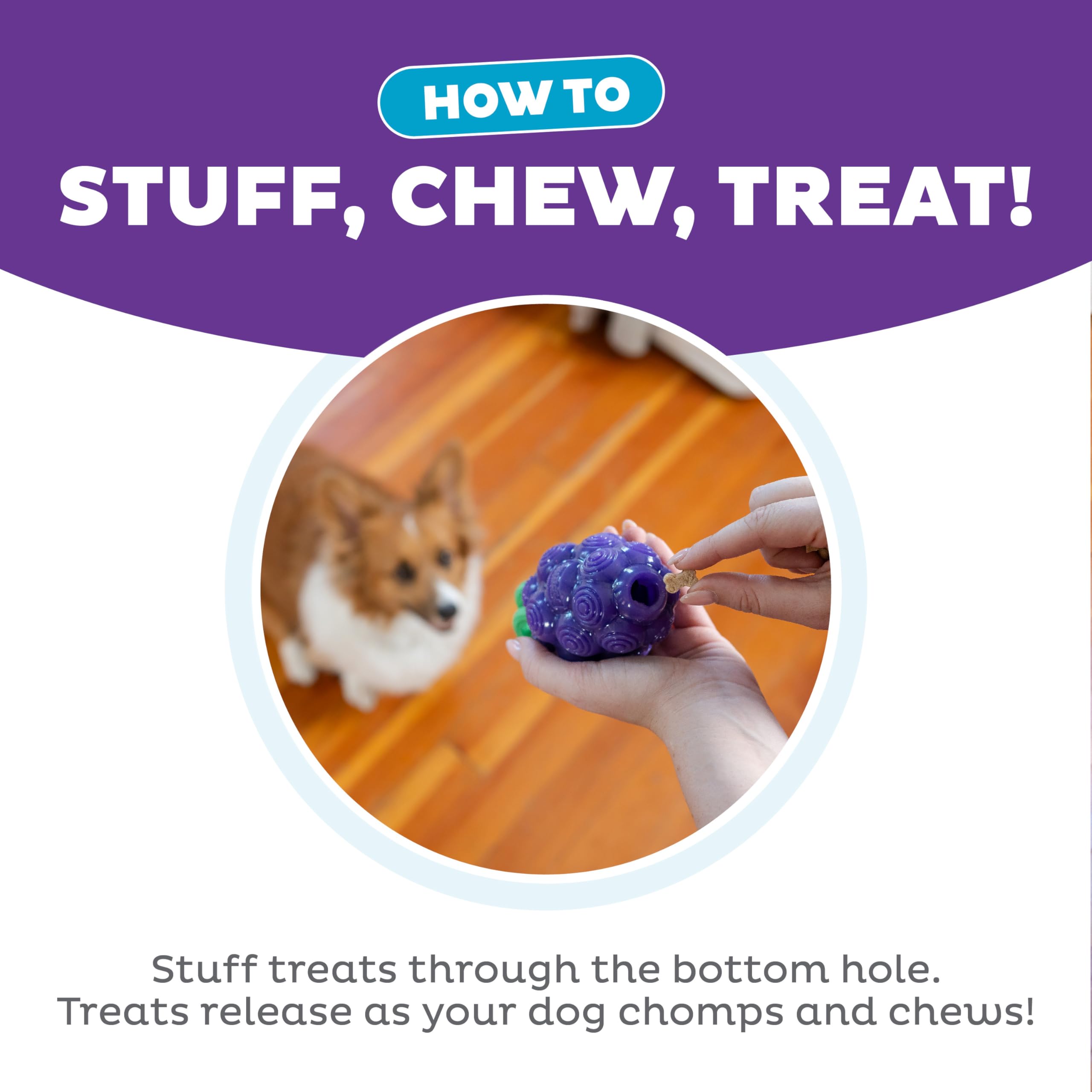 Foto 5 pulgar | Juguete Masticable Y Relleno De Golosinas Para Perros Outward Hound Grapes - Venta Internacional.