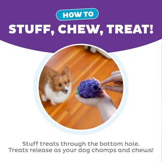 Foto 4 | Juguete Masticable Y Relleno De Golosinas Para Perros Outward Hound Grapes - Venta Internacional.
