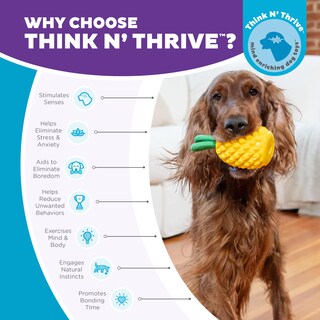 Foto 6 | Juguete Masticable Outward Hound Dental Pineapple Para Perro, Color Amarillo - Venta Internacional.