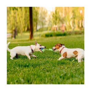 Foto 3 | 7pcs Juguete De Cuerda Para Perro Eo Safe Imports Esi-15281 Multicolor
