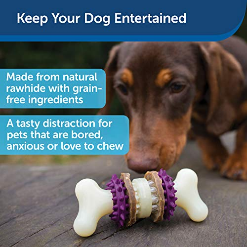 Foto 3 pulgar | Juguete Para Perros Petsafe Busy Buddy Bristle Bone - Venta Internacional.