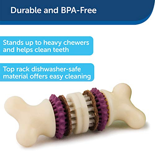 Foto 4 pulgar | Juguete Para Perros Petsafe Busy Buddy Bristle Bone - Venta Internacional.