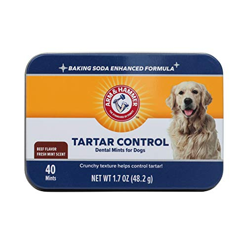 Brazo Y Martillo Dental Mints Para Mascotas Y Perros De Control Del Sarro, 40 Unidades - Venta Internacional.