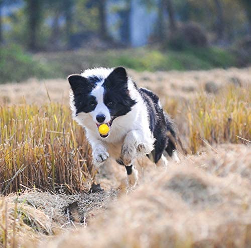 Foto 4 | Juguete De Goma Para Masticar Bolas Chirriantes Para Perros Huoguo Para Cachorros - Venta Internacional.
