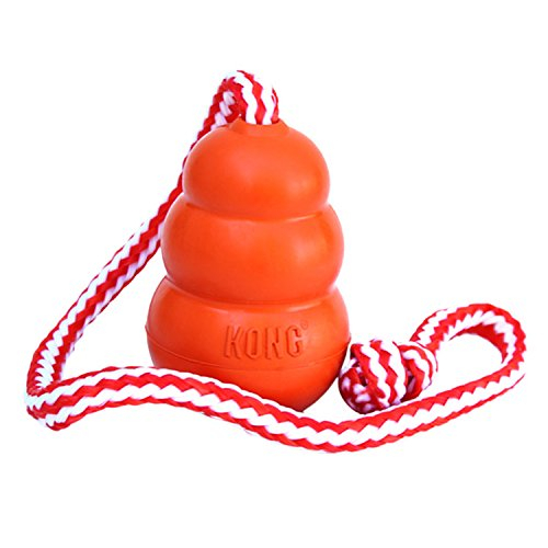 Juguete Floating Fetch Kong Aqua Para Perros Medianos - Venta Internacional.