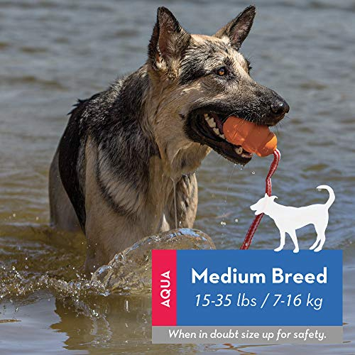 Foto 2 | Juguete Floating Fetch Kong Aqua Para Perros Medianos - Venta Internacional.