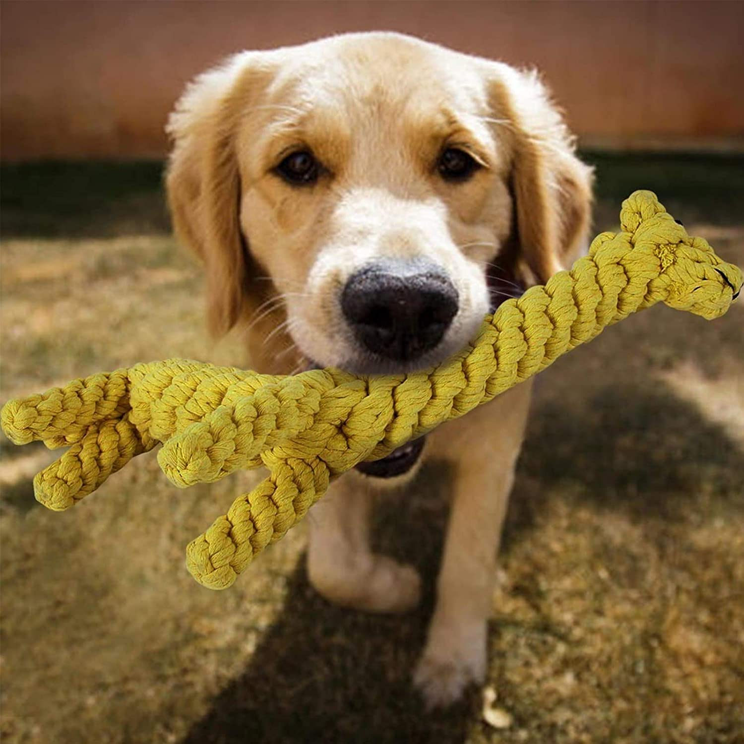 Foto 4 pulgar | Juguetes Masticables Para Perros En Proceso De Dentición Jieyou Jiraffe Para Perros Pequeños Y Media - Venta Intern