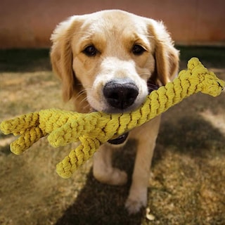 Foto 3 | Juguetes Masticables Para Perros En Proceso De Dentición Jieyou Jiraffe Para Perros Pequeños Y Media - Venta Intern