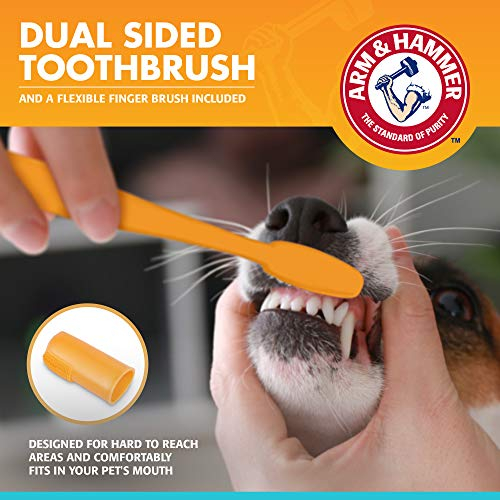 Foto 5 pulgar | Kit De Cuidado Dental Arm & Hammer Para Mascotas Fresh Breath Dogs - Venta Internacional.