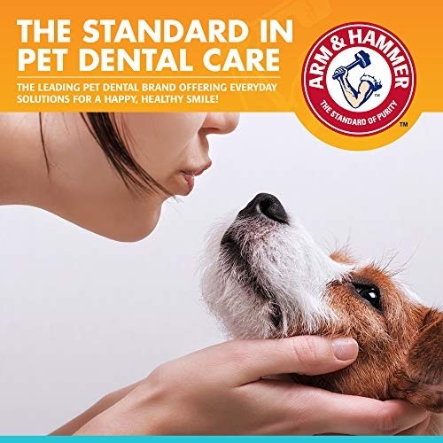 Foto 7 pulgar | Kit De Cuidado Dental Arm & Hammer Para Mascotas Fresh Breath Dogs - Venta Internacional.
