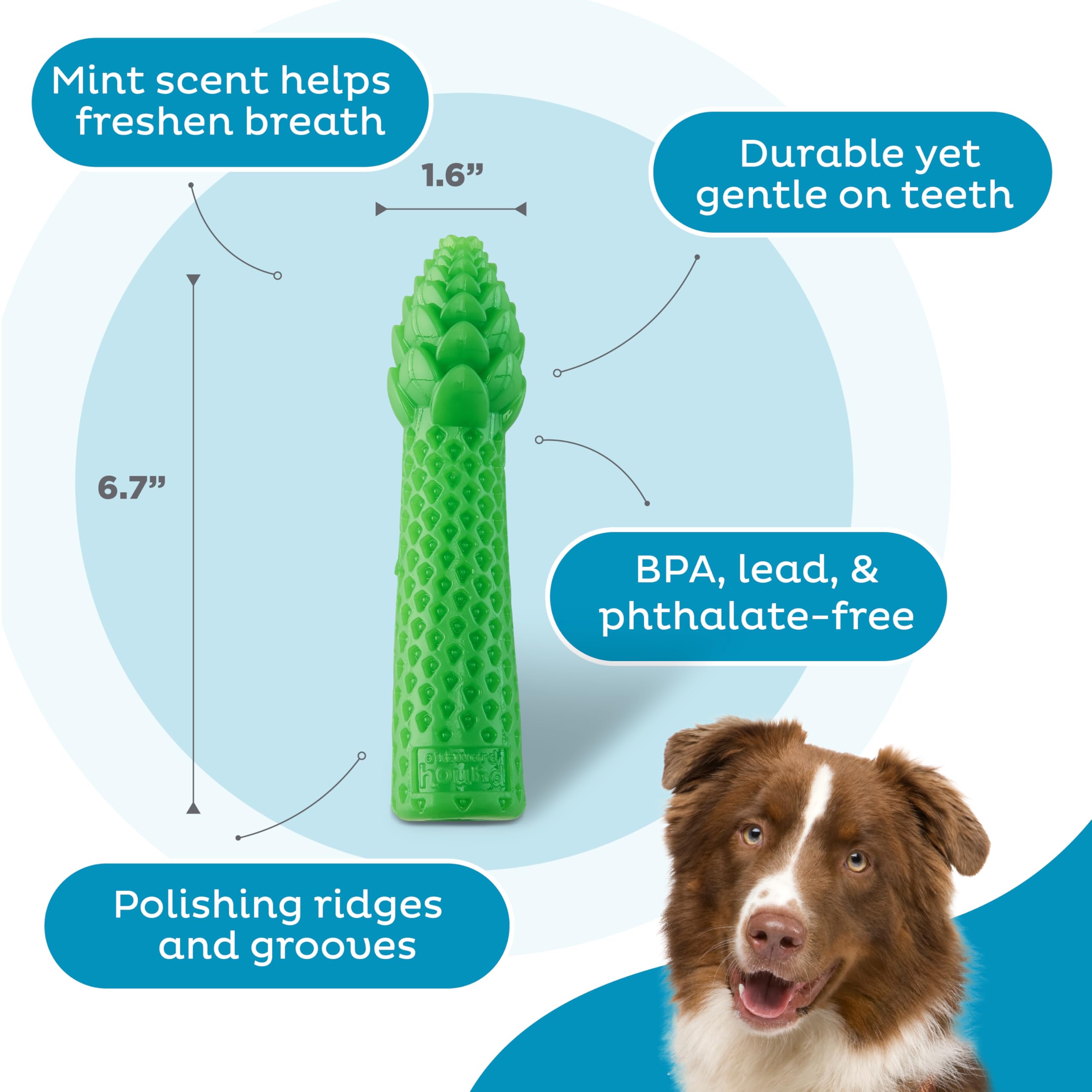 Foto 4 pulgar | Juguete Dental Para Masticar Con Espárragos Outward Hound Para Perros Medianos - Venta Internacional.