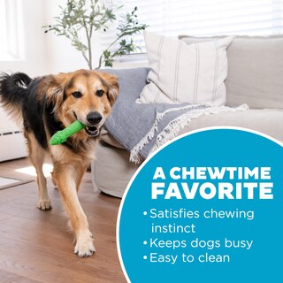 Foto 5 | Juguete Dental Para Masticar Con Espárragos Outward Hound Para Perros Medianos - Venta Internacional.