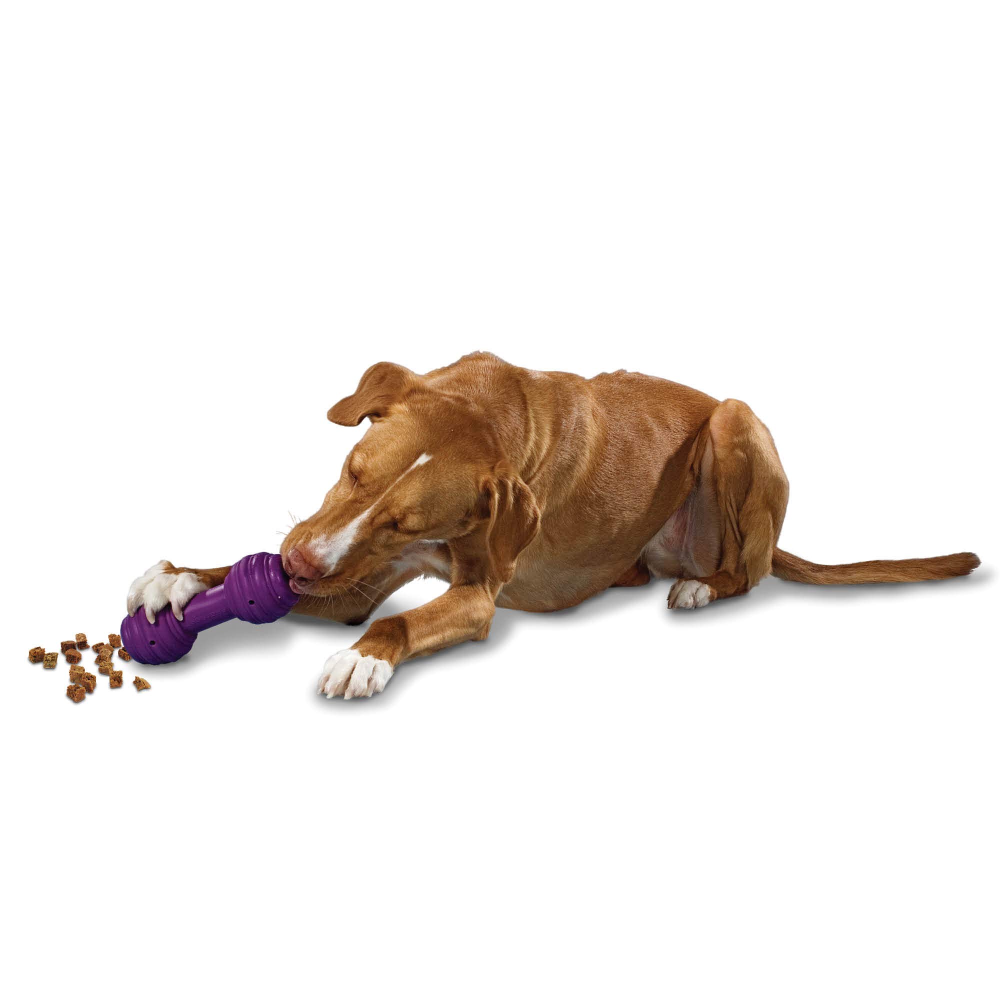 Foto 2 pulgar | Dispensador De Golosinas Petsafe Busy Buddy Chuckle Sound Toy Para Perros - Venta Internacional.