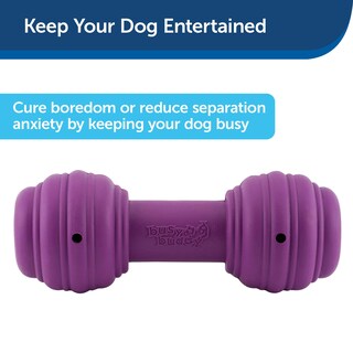 Foto 4 | Dispensador De Golosinas Petsafe Busy Buddy Chuckle Sound Toy Para Perros - Venta Internacional.
