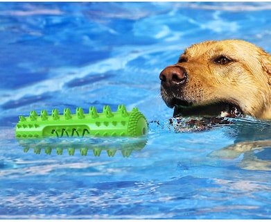 Foto 4 | Juguetes Masticables Para Perros, Para Masticadores Agresivos, Cepillos De Dientes Y Chirriantes - Venta Internacional.