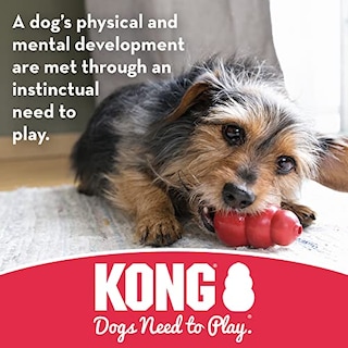 Foto 4 | Juguete Para Perros Kong Jump'n Jack De Goma Duradera Para Perros Pequeños - Venta Internacional.