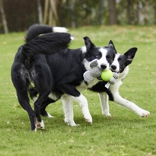 Foto 3 | Juguete De Peluche Para Perros, Duradero Y Con Relleno Bajo Para Perros Pequeños - Venta Internacional.
