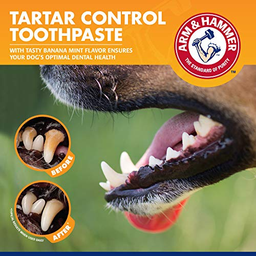 Foto 5 pulgar | Kit De Cuidado Dental Arm & Hammer Para Mascotas Y Perros Que Controlan El Sarro - Venta Internacional.