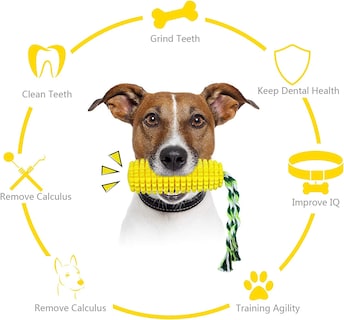 Foto 2 | Juguete Masticable Para Perros Huoguo, Cepillo De Dientes Para Cachorros, Dientes Limpios Con Forma - Venta Internac