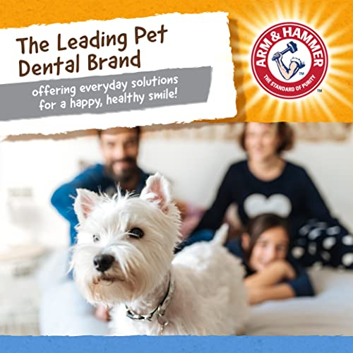Foto 8 pulgar | Juguete Dental Para Perros Arm & Hammer Nubbies Tribone Peanut Butter - Venta Internacional.
