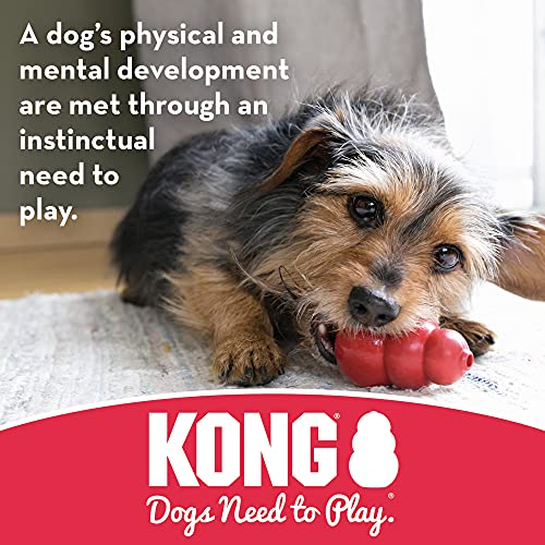 Foto 5 pulgar | Juguete Para Perros Kong Jump'n Jack De Goma Duradera Para Perros Medianos - Venta Internacional.