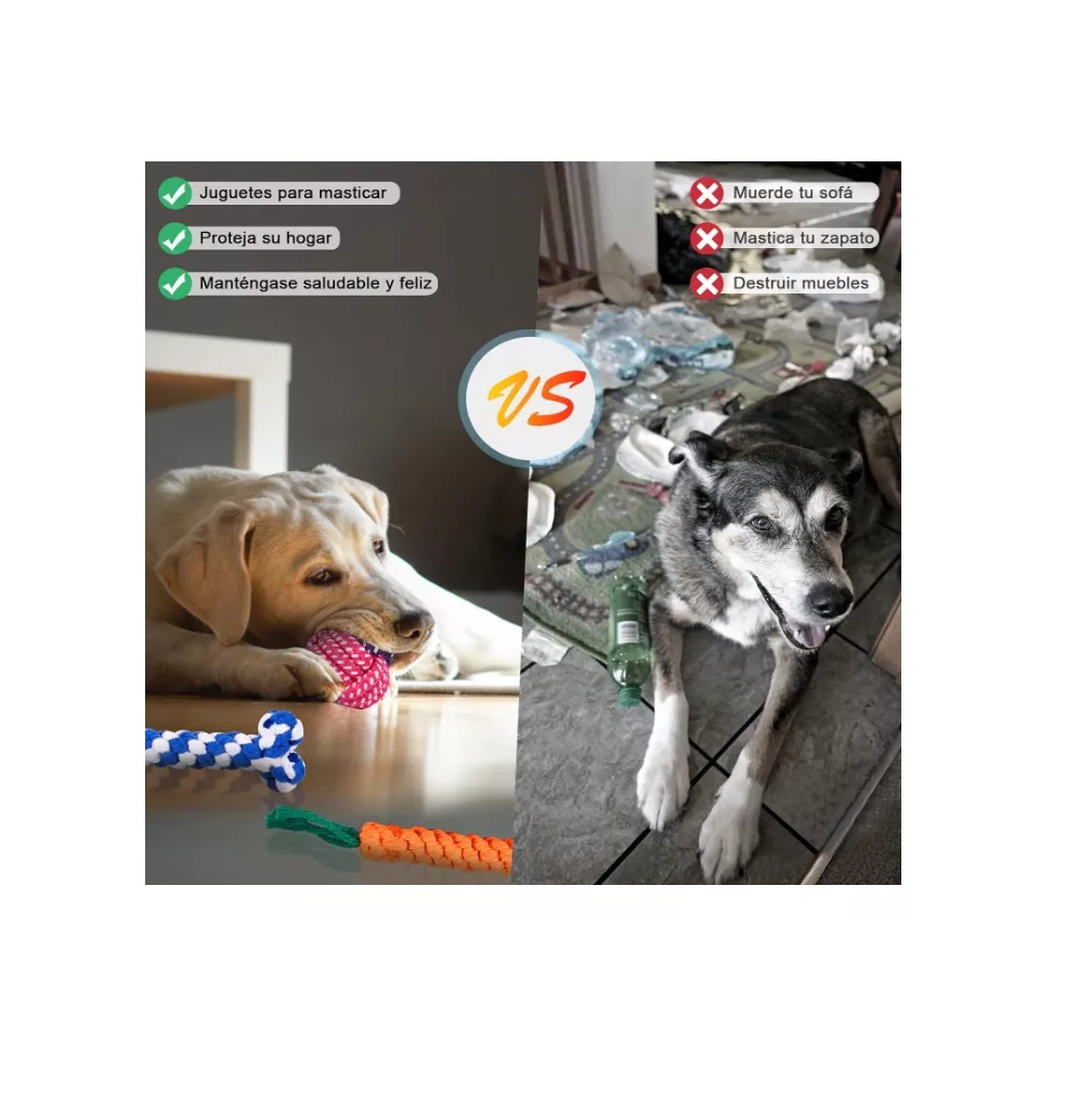 Foto 3 pulgar | Juguetes para Perro 10 Piezas