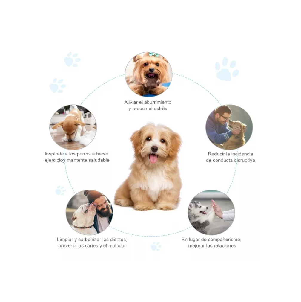 Foto 4 pulgar | Juguetes para Perro 10 Piezas