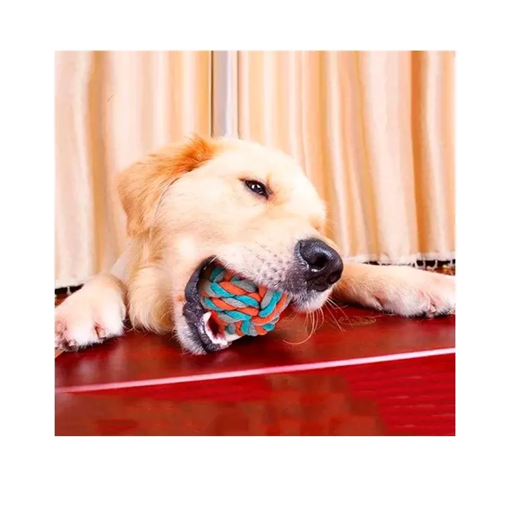 Foto 6 pulgar | Juguetes para Perro 10 Piezas