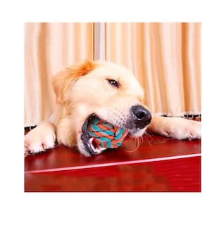 Foto 5 | Juguete para Perro de 10 Piezas