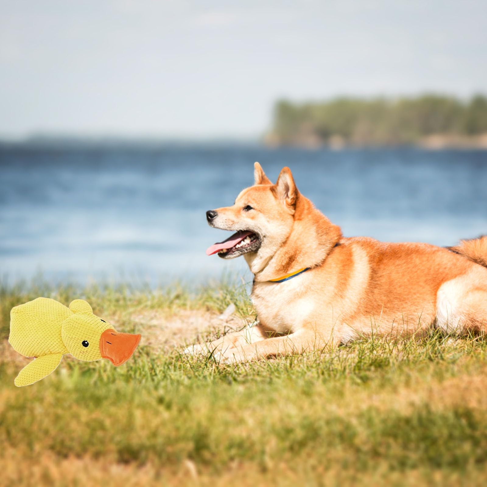 Foto 7 pulgar | Juguete Para Perros Mellow Dog Calming Duck Yellow Con Sonido De Graznido - Venta Internacional.