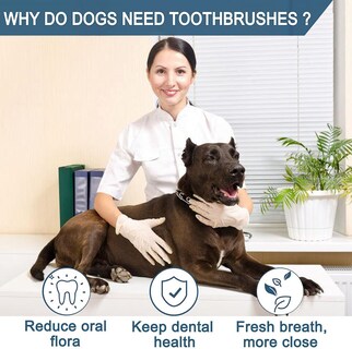 Foto 7 | Juego De Cepillos De Dientes Para Perros Jieyou Fingerling, Silicona Reutilizable (4 Unidades) - Venta Internacional.
