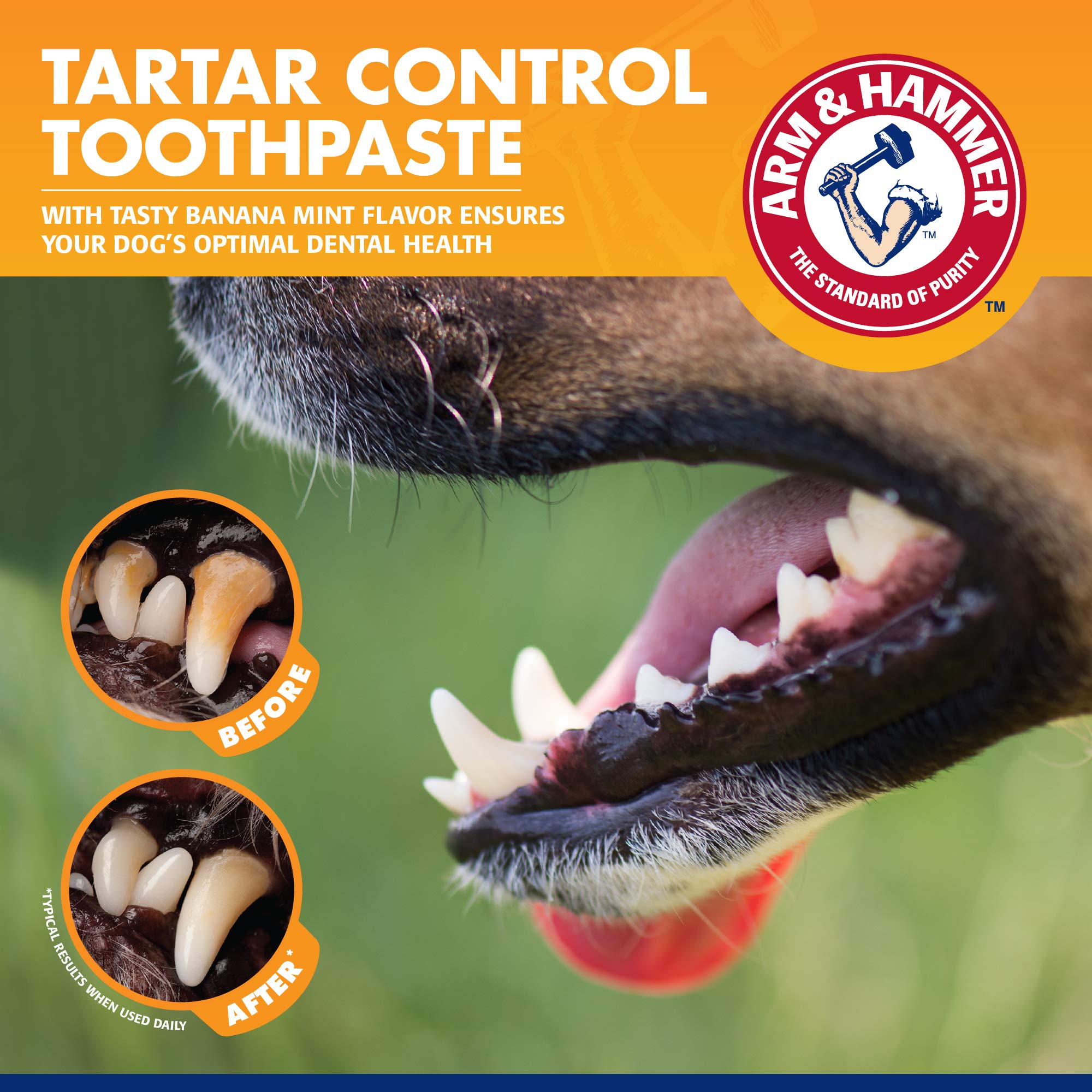 Foto 5 pulgar | Kit Dental Arm & Hammer Para Mascotas Y Perros Que Controlan El Sarro - Venta Internacional.
