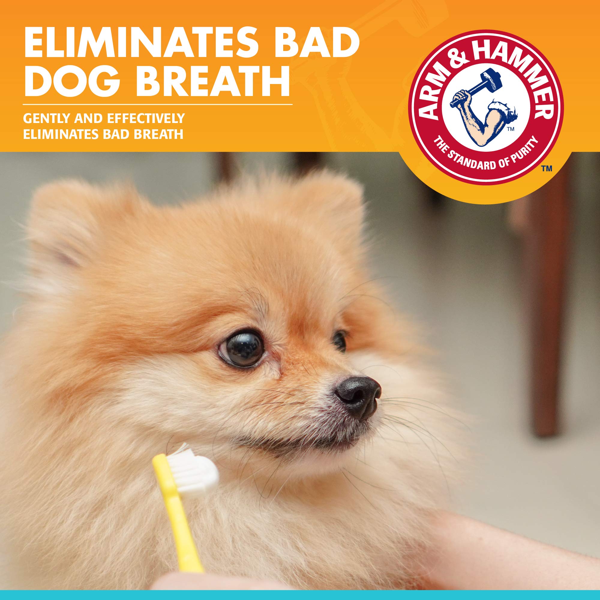 Foto 3 pulgar | Pasta De Dientes Para Perros Arm & Hammer Para Mascotas Dental, 75 Ml, Paquete De 3 - Venta Internacional.