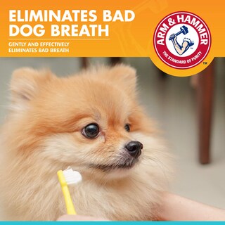 Foto 2 | Pasta De Dientes Para Perros Arm & Hammer Para Mascotas Dental, 75 Ml, Paquete De 3 - Venta Internacional.