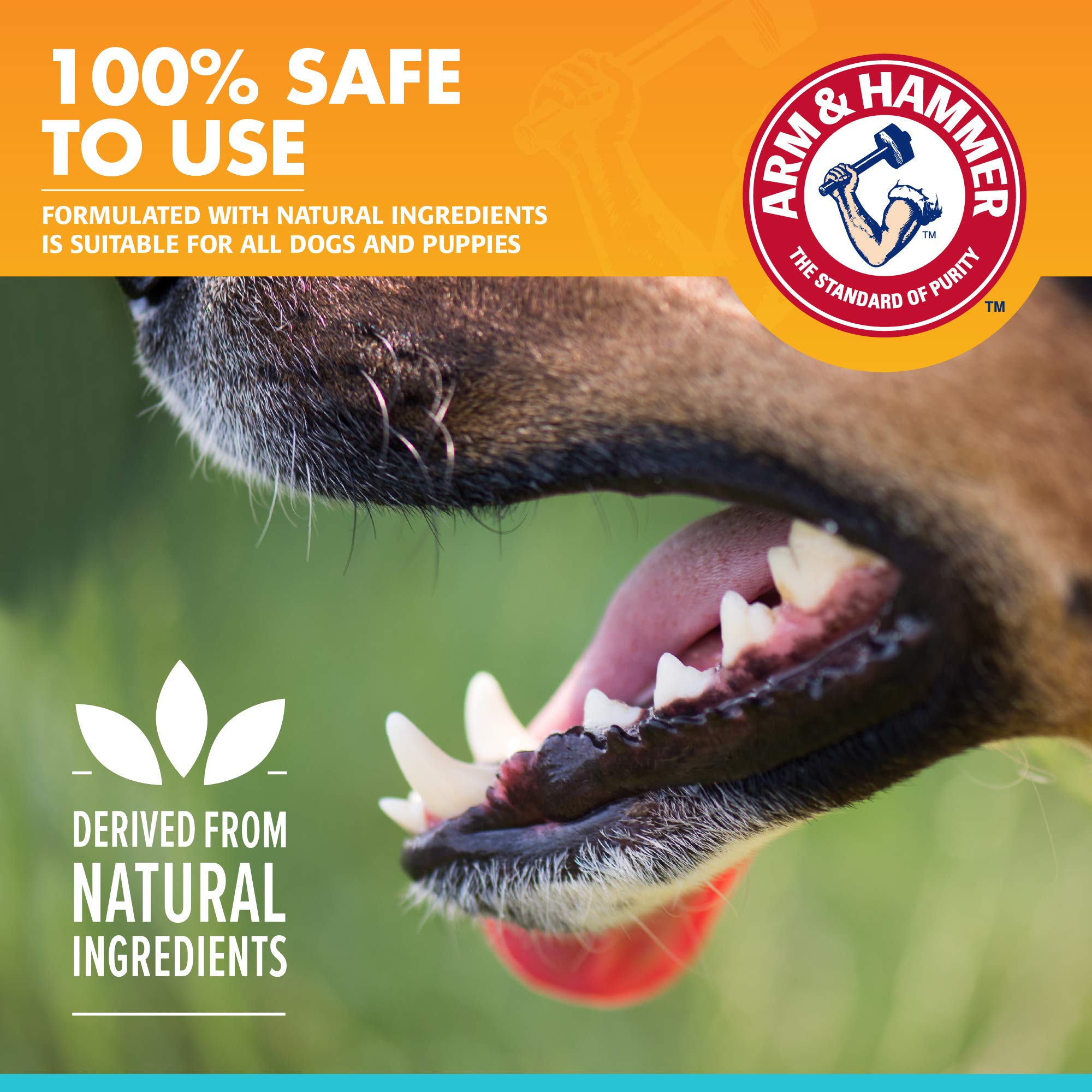 Foto 5 pulgar | Pasta De Dientes Para Perros Arm & Hammer Para Mascotas Dental, 75 Ml, Paquete De 3 - Venta Internacional.