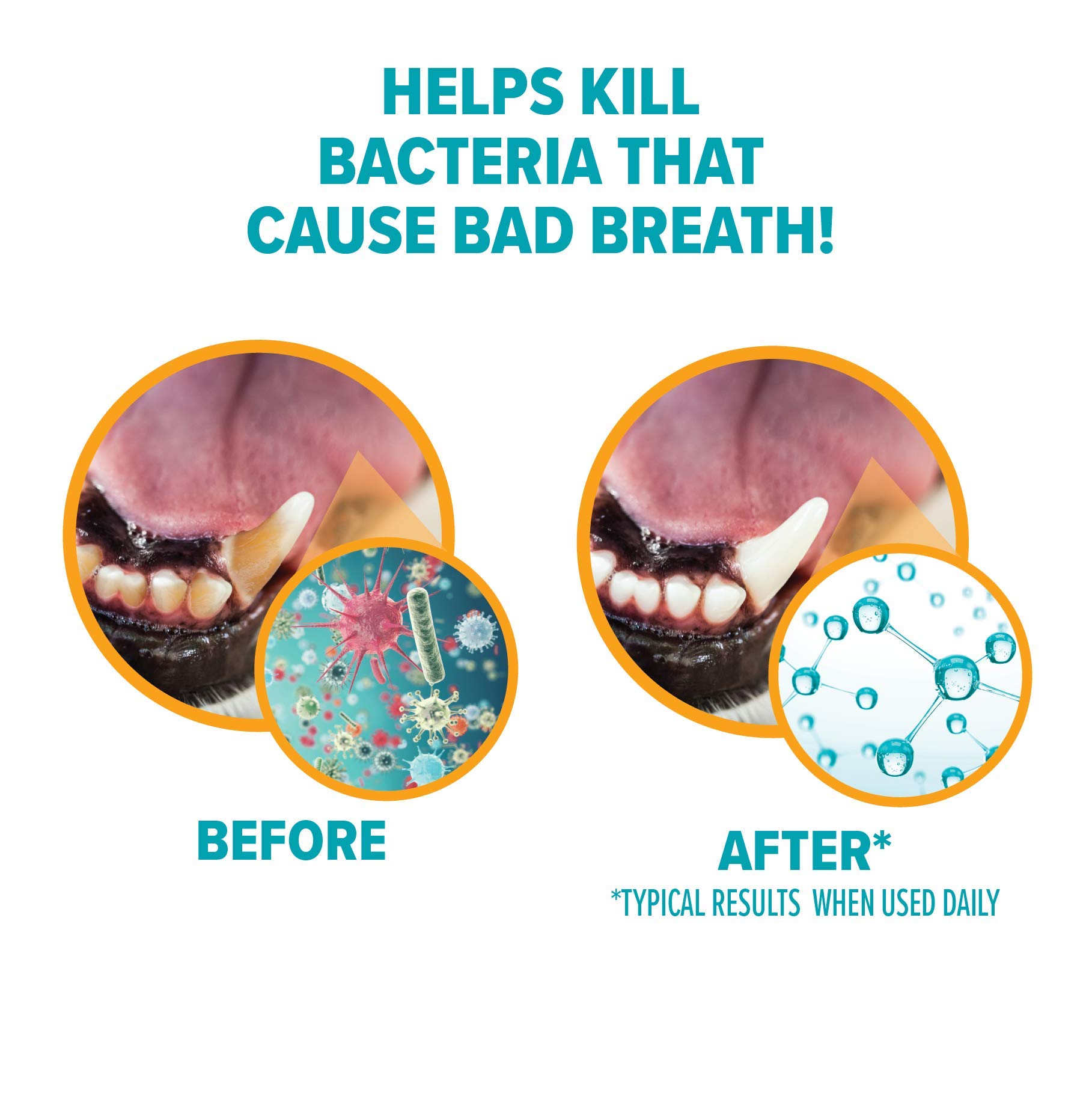 Foto 4 pulgar | Pasta De Dientes Arm & Hammer Fresh Breath Enzymatic Para Perros, 75 Ml, Paquete De 2 - Venta Internacional.