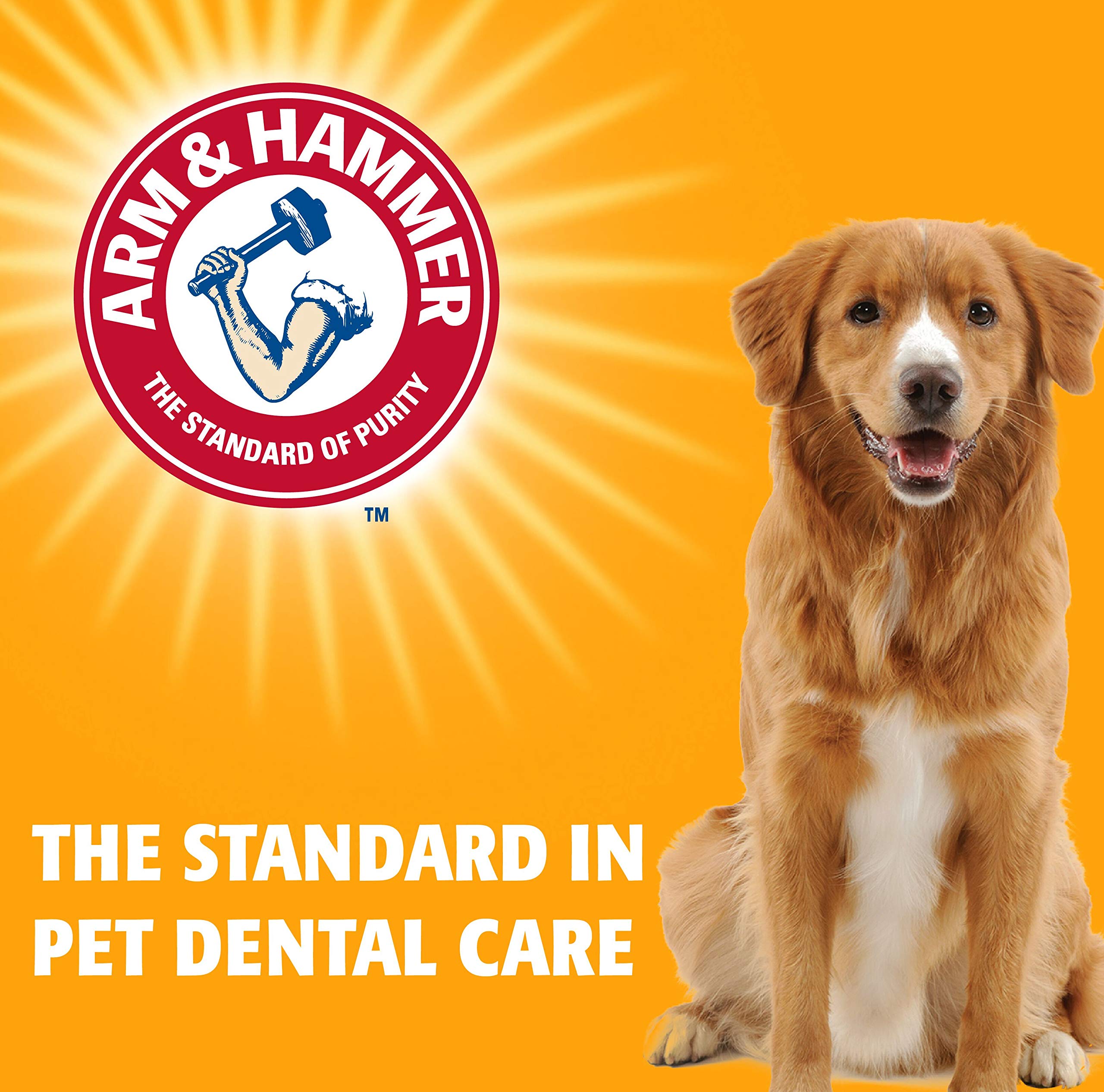 Foto 6 pulgar | Pasta De Dientes Arm & Hammer Fresh Breath Enzymatic Para Perros, 75 Ml, Paquete De 2 - Venta Internacional.