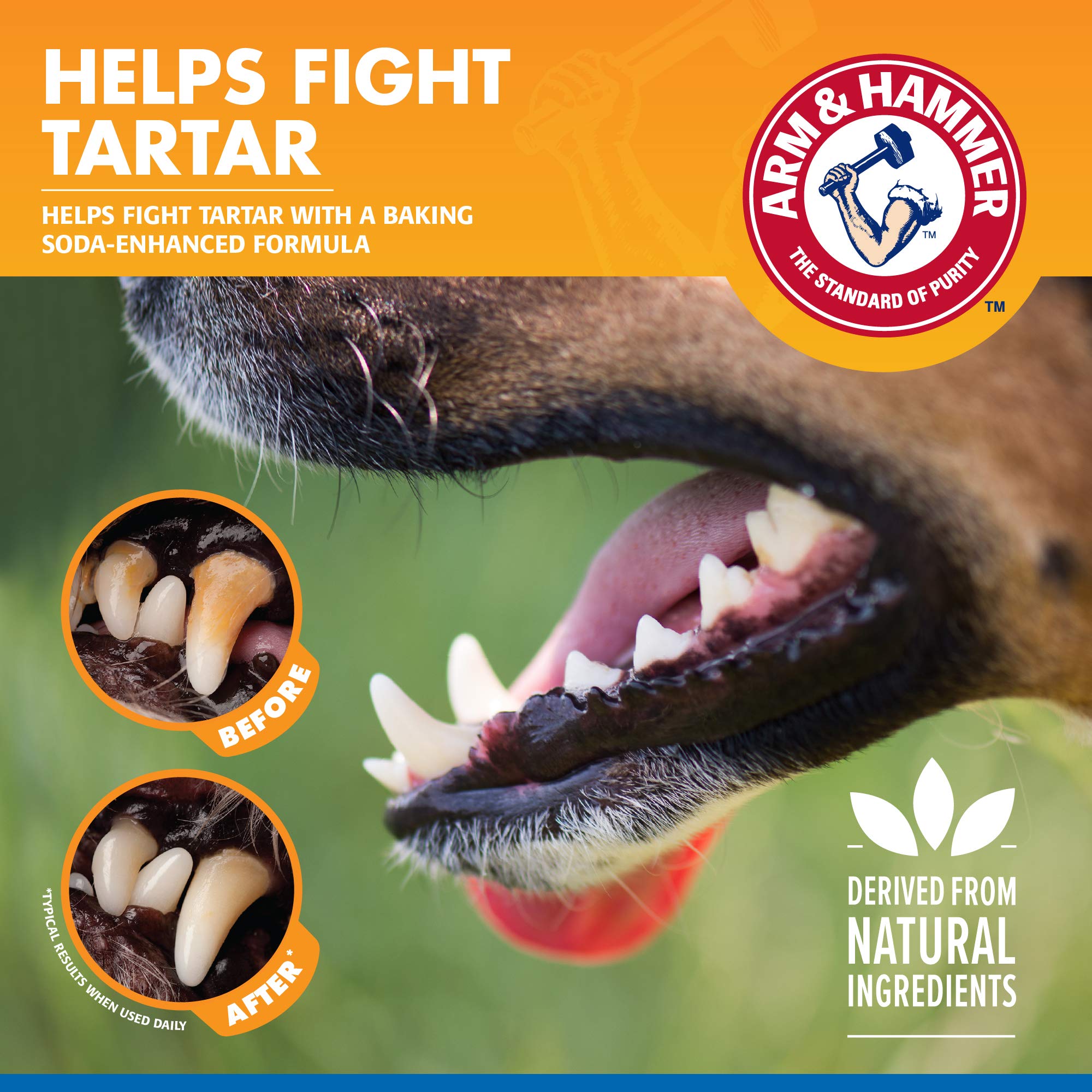 Foto 4 pulgar | Aditivo De Agua Para Perros Arm & Hammer Dental Care, 473 Ml, Paquete De 1 - Venta Internacional.