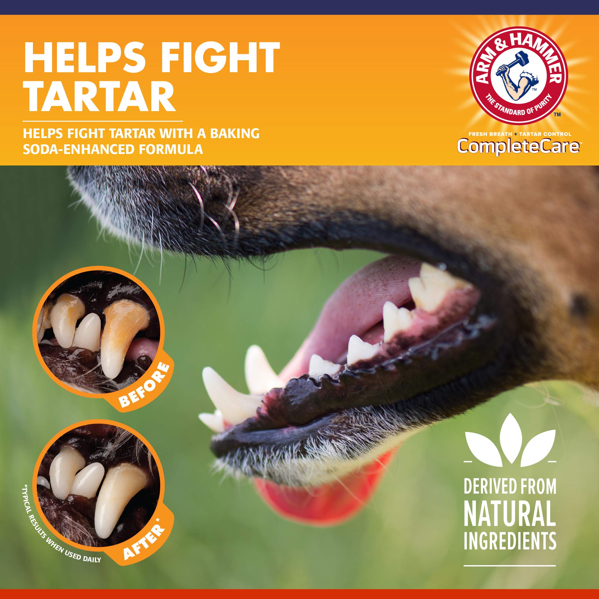 Foto 5 pulgar | Kit Dental Para Perros Arm & Hammer, Pasta De Dientes Enzimática, Pollo - Venta Internacional.