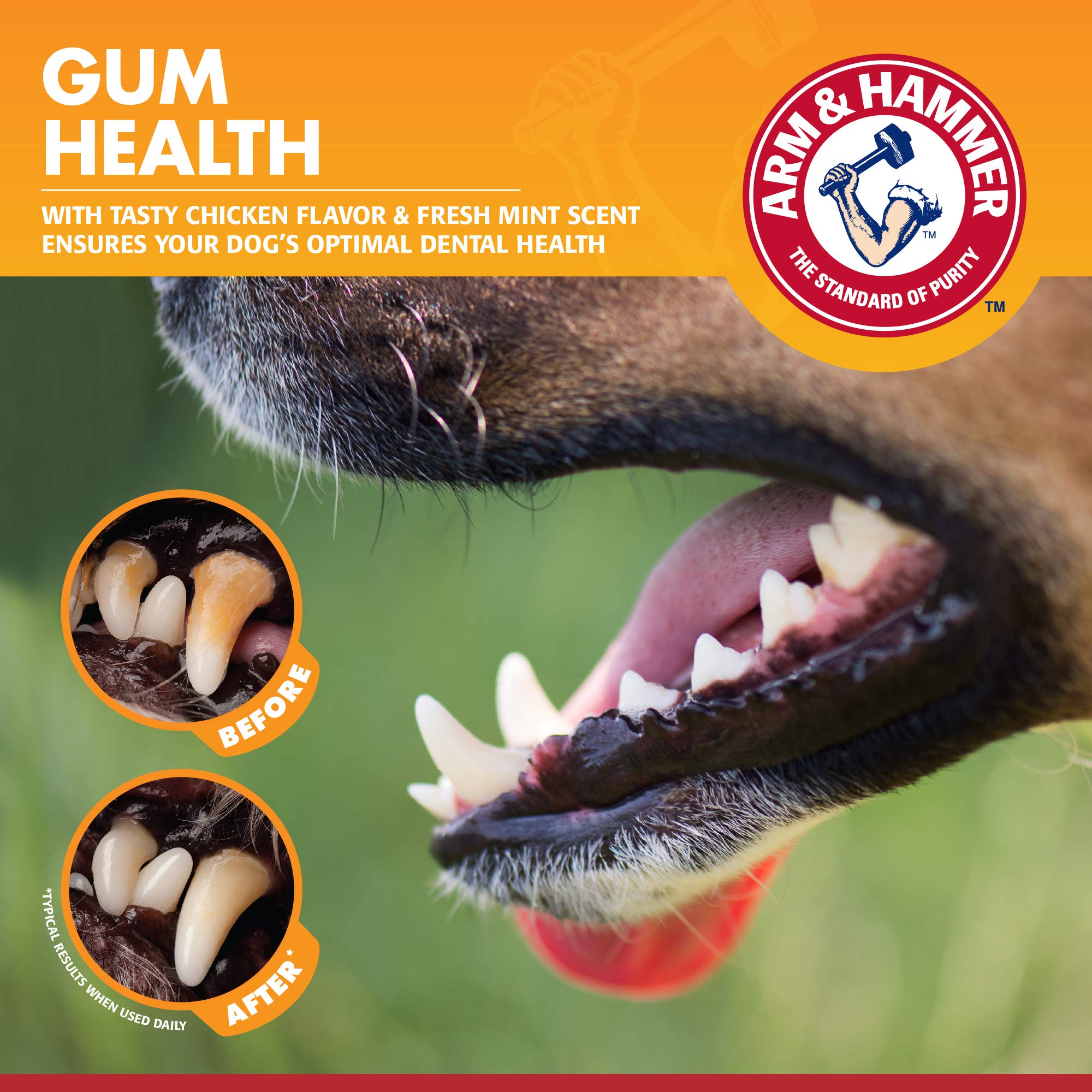 Foto 5 pulgar | Kit Dental Gum Health Arm & Hammer Para Mascotas Y Perros - Venta Internacional.