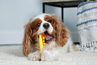 Foto 4 | Dog Chew & Treat Para Perros Hartz Chew 'n Clean Dental Duo, Paquete De 3 - Venta Internacional.