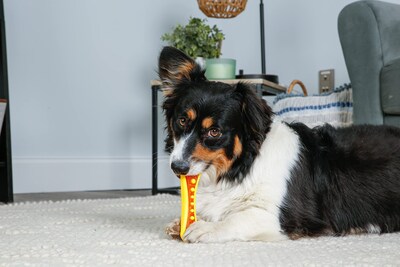 Foto 6 | Dog Chew & Treat Para Perros Hartz Chew 'n Clean Dental Duo, Paquete De 3 - Venta Internacional.