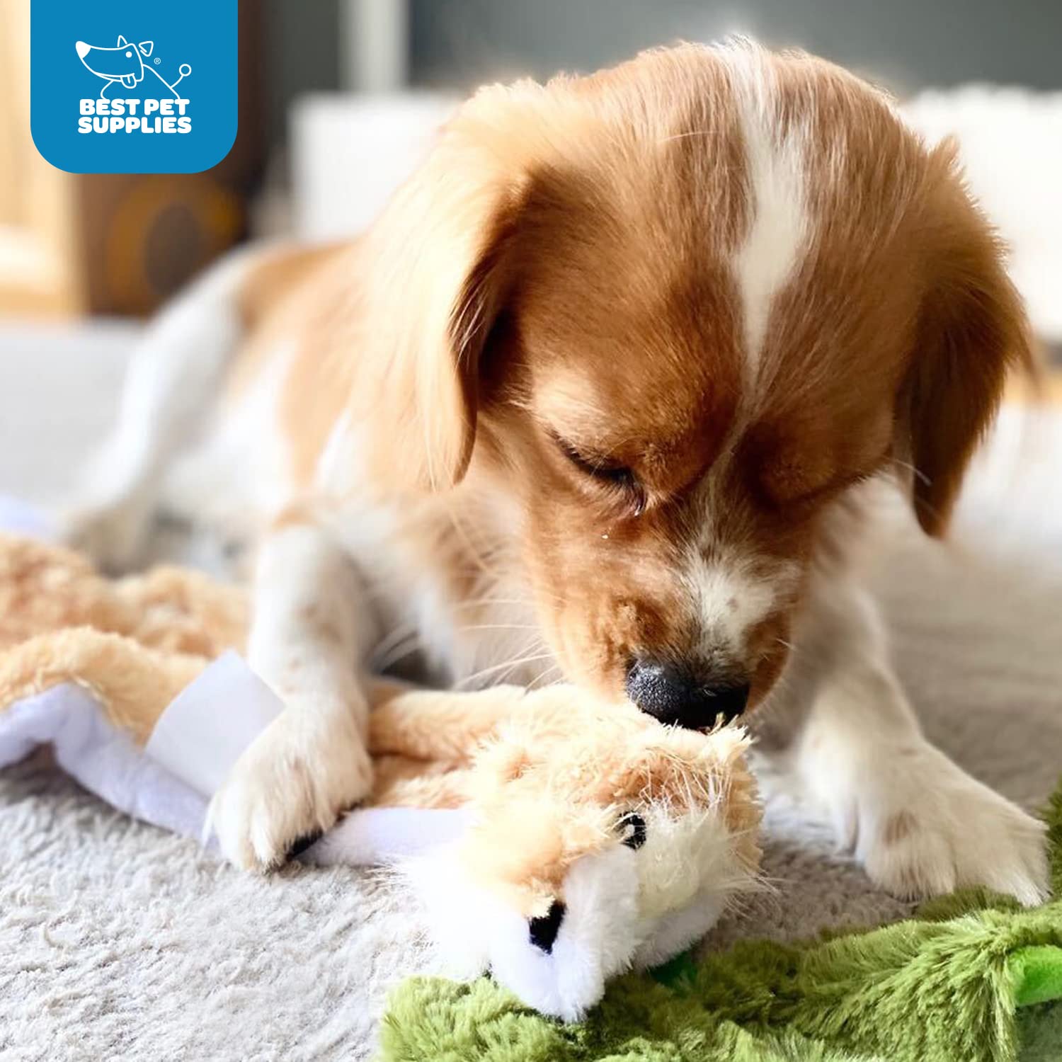 Foto 6 | Juguete Para Perros Best Pet Supplies 2 En 1, Caimán Rechinante Y Sin Relleno - Venta Internacional.