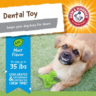 Foto 2 | Brazo Y Martillo Dentales Masticables Para Mascotas, T-rex Para Perros (paquete De 24) - Venta Internacional.