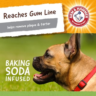 Foto 4 | Brazo Y Martillo Dentales Masticables Para Mascotas, T-rex Para Perros (paquete De 24) - Venta Internacional.