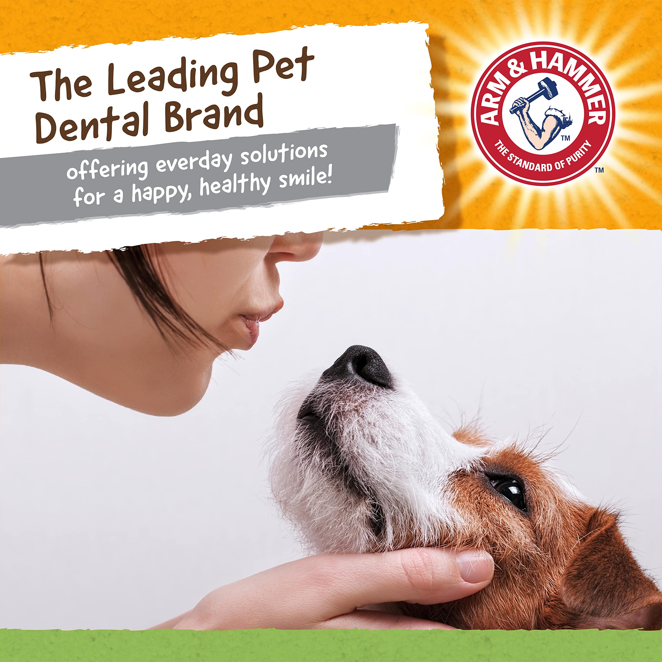 Foto 5 | Brazo Y Martillo Dentales Masticables Para Mascotas, T-rex Para Perros (paquete De 24) - Venta Internacional.