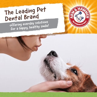 Foto 5 | Brazo Y Martillo Dentales Masticables Para Mascotas, T-rex Para Perros (paquete De 24) - Venta Internacional.