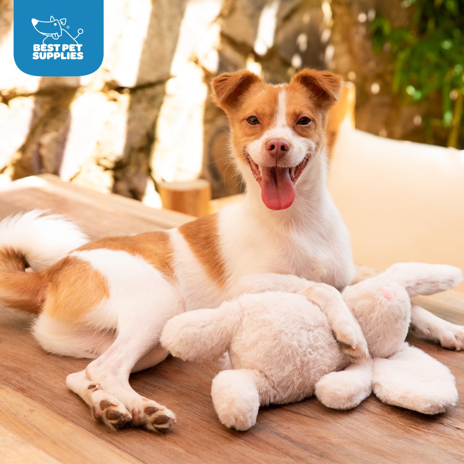 Foto 6 pulgar | Juguete Para Perros Best Pet Supplies Interactive Bunny Buddy - Venta Internacional.