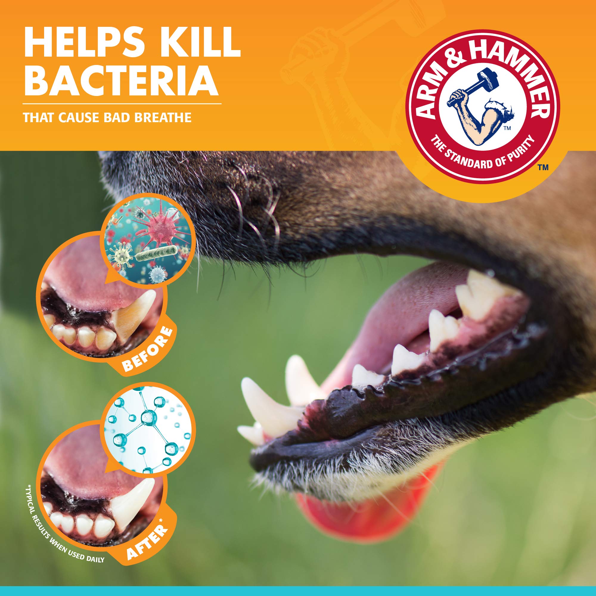 Foto 5 pulgar | Kit De Cuidado Dental Para Perros Arm & Hammer Fresh Breath Enzymatic - Venta Internacional.