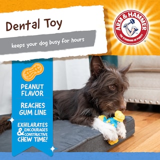 Foto 2 | Juguete Dental Para Perros Arm & Hammer Nubbies Tribone Peanut Butter - Venta Internacional.